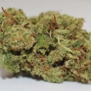 AK 47 Strain