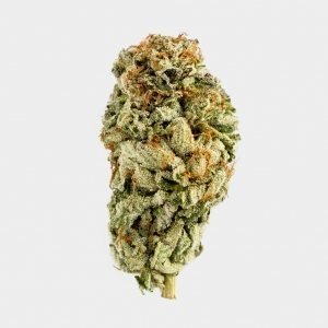 BC Kush Strain