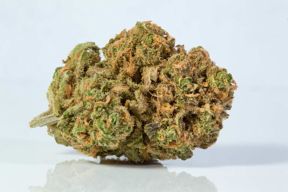 Blue Dream Sativa or Indica