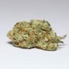 Gorilla Glue (AAAA)
