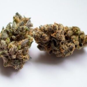 Granddaddy Purple Kush