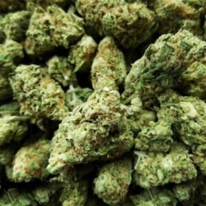 Hawaiian Skunk strain