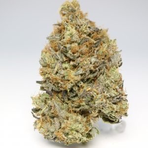 Lindsay OG