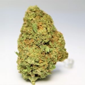 Mango Haze Weed Strain