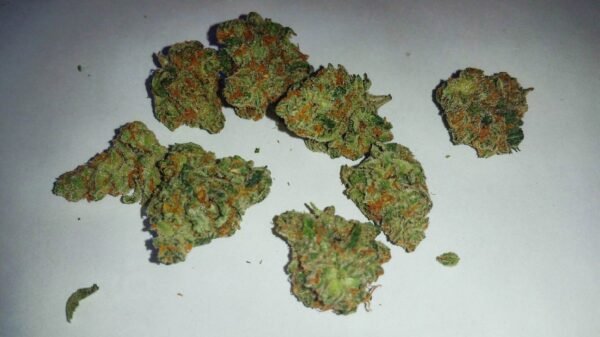 Ghost Train Haze