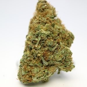 Purple Kush Strain