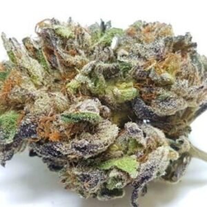 Purple Urkle (AAAAA)