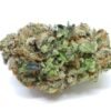 San Fernando Valley OG strain