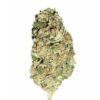 Sour Diesel Kush strain