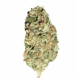 Sour Diesel Kush strain