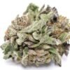 Space Queen AAAA strain