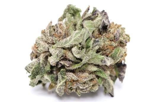 Space Queen AAAA strain