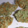 Super Silver Haze strain