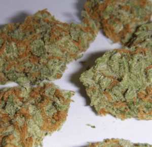 Super Silver Haze strain
