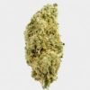 White Widow