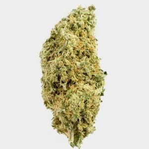 White Widow