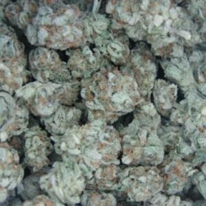 White Widow