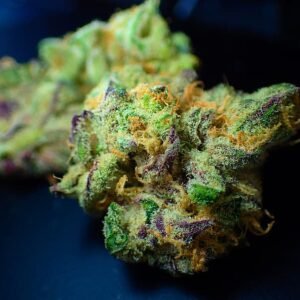 SATIVA