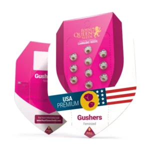 Gushers strain weed