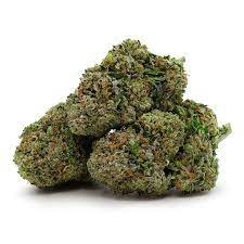 INDICA