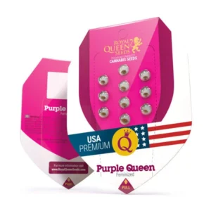 Royal Queen Cannabis Seeds