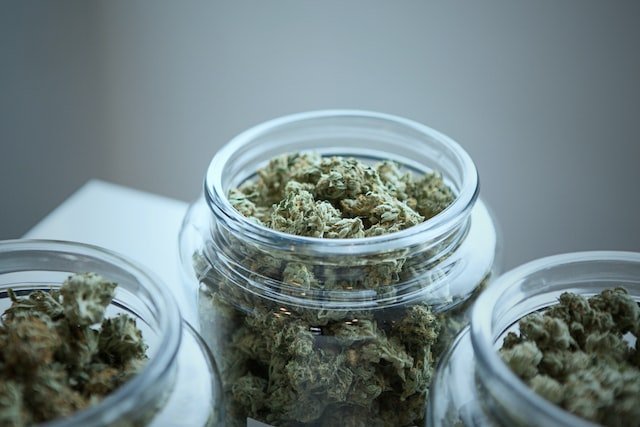 Effects of Hybrid Strains