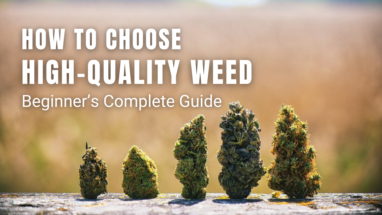 How to Choose High-Quality Weed